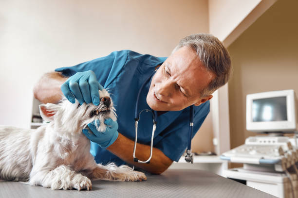Best 24-Hour Emergency Dentist in Rockingham, NC